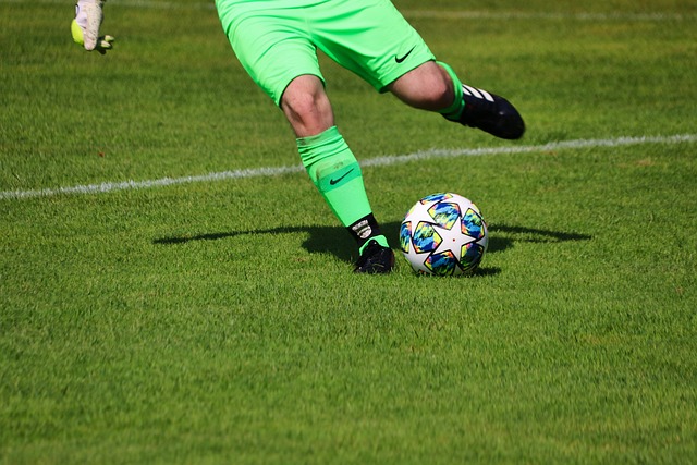 带来了更多 带来了更多