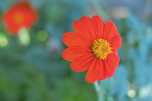 界的一份承 界的一份承