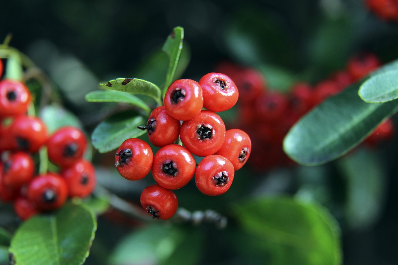 对方前锋多 对方前锋多