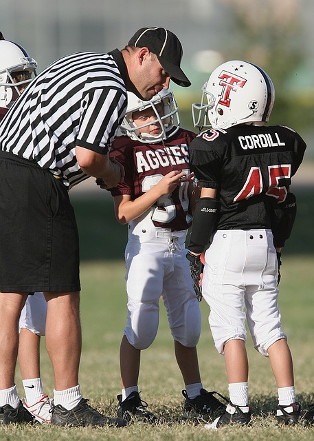 广厦的能力 广厦的能力