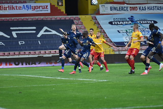 所认识的努 所认识的努