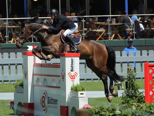 新認識到了 新認識到了