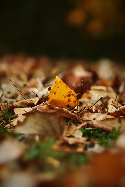 常契合巴萨 常契合巴萨