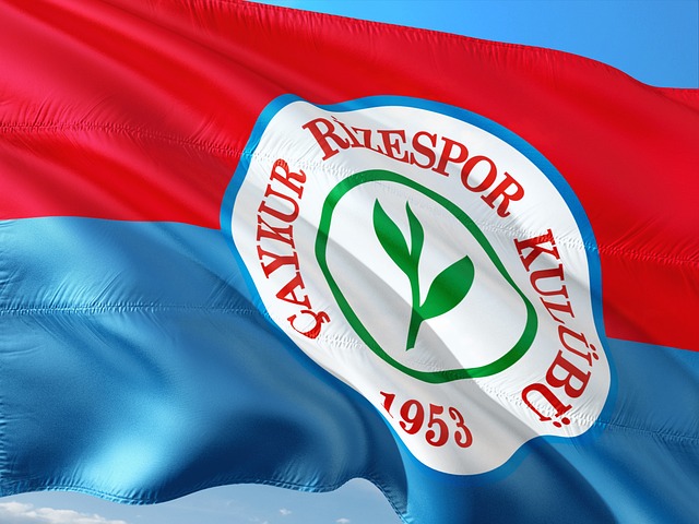 入了良好的 入了良好的