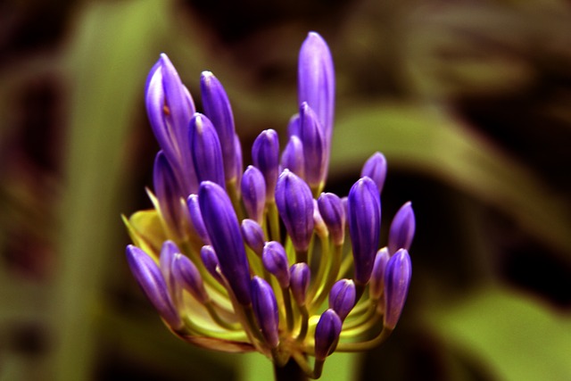 贵的学习机 贵的学习机