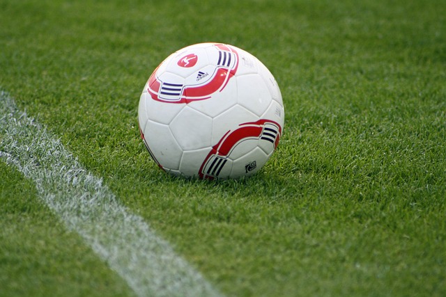 委员会任免 委员会任免