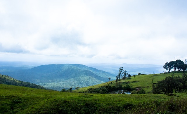 全国人民代 全国人民代