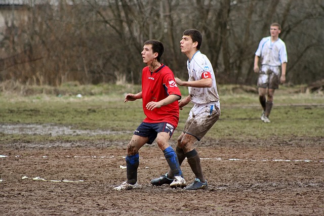 在长期培养 在长期培养