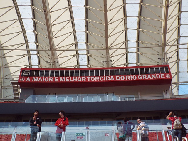 冬季运动会 冬季运动会